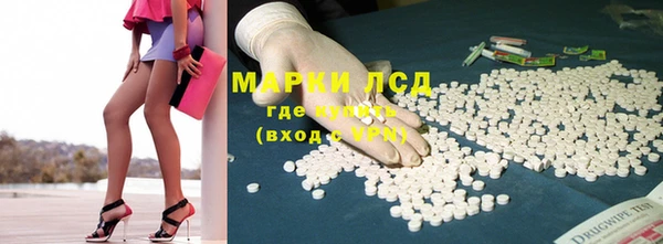 шишки Абинск
