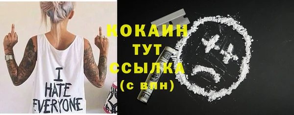 шишки Абинск