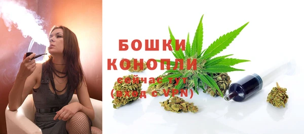 стафф Покачи