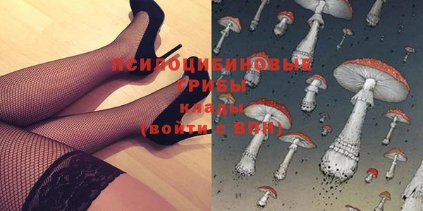 мяу мяу мука Абаза