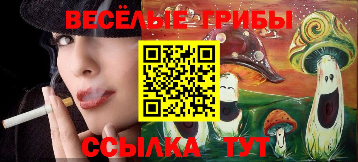 Псилоцибиновые грибы ЛСД Ухта